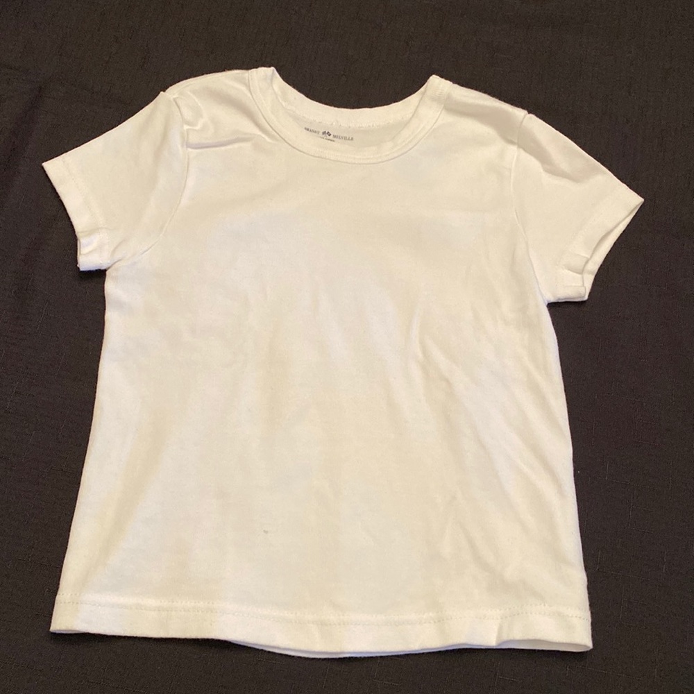 Brandy Melville plain white baby tee